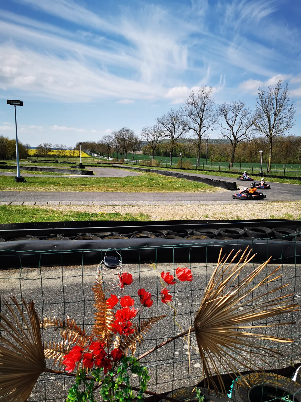 La piste de Kart'Hell et ses karts, fleurs rouges au premier plan