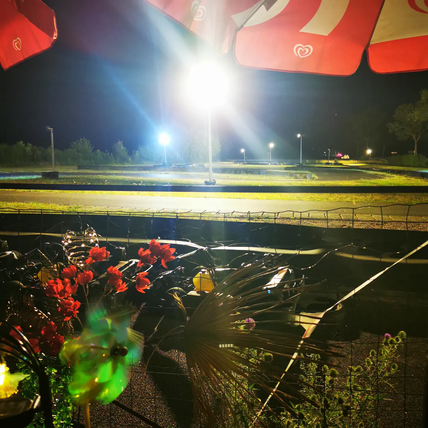 La piste illuminée la nuit, fleurs rouges au premier plan